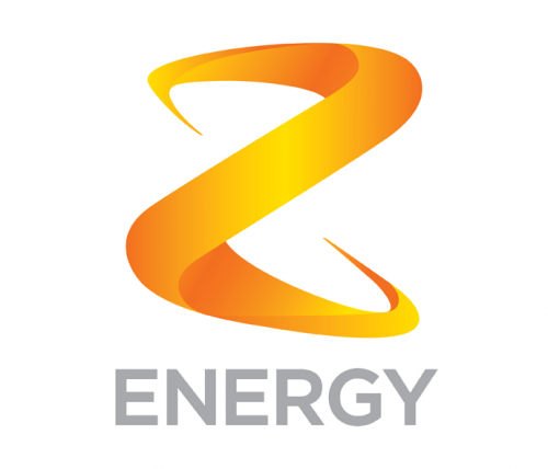 Youth Employment Success employer Z Energy logo